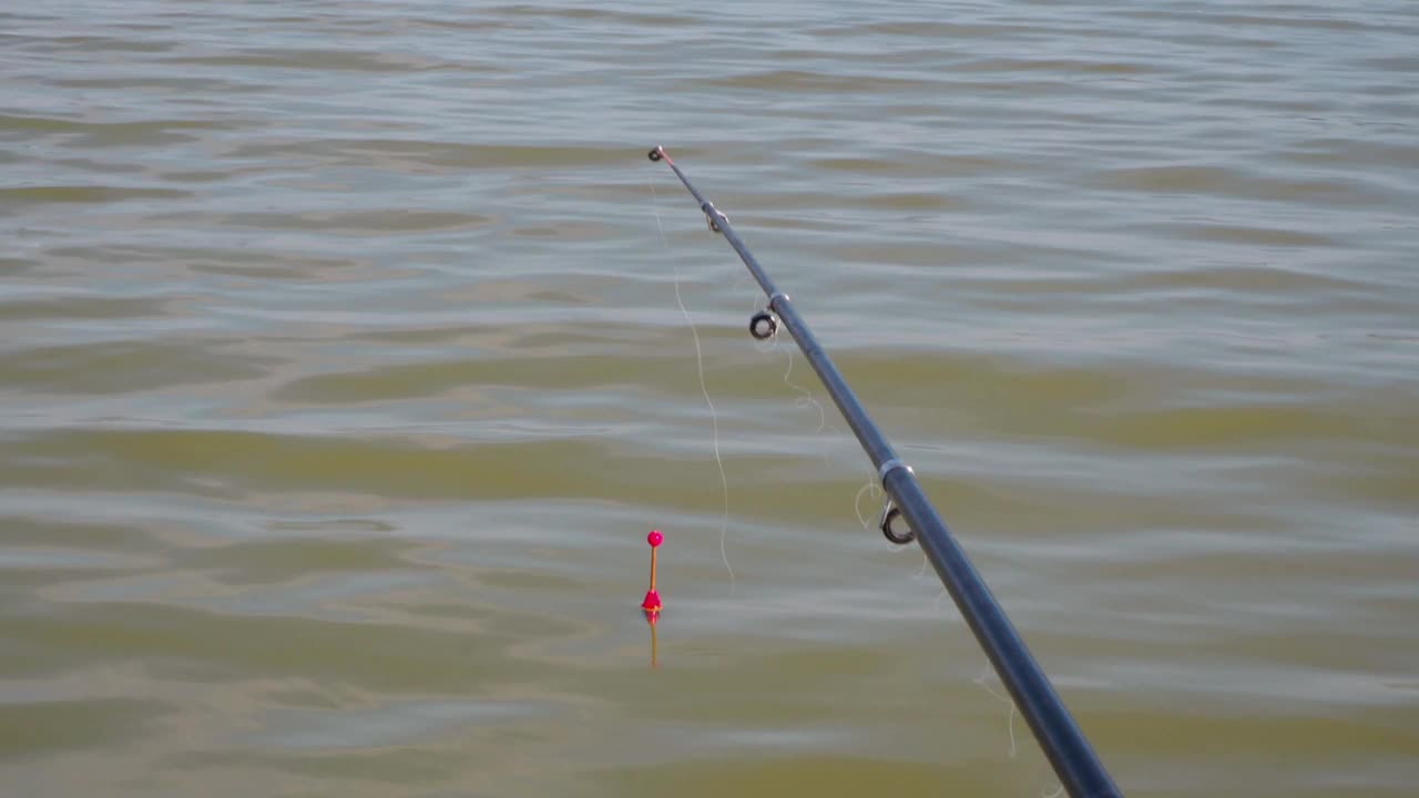 用鱼竿钓鱼。用鱼线钩着的浮子浮在水面上，在波浪中摇摆。从船。鱼饵的鱼。捕捉夏天的早晨。男人的爱好，休闲，娱乐。视频素材