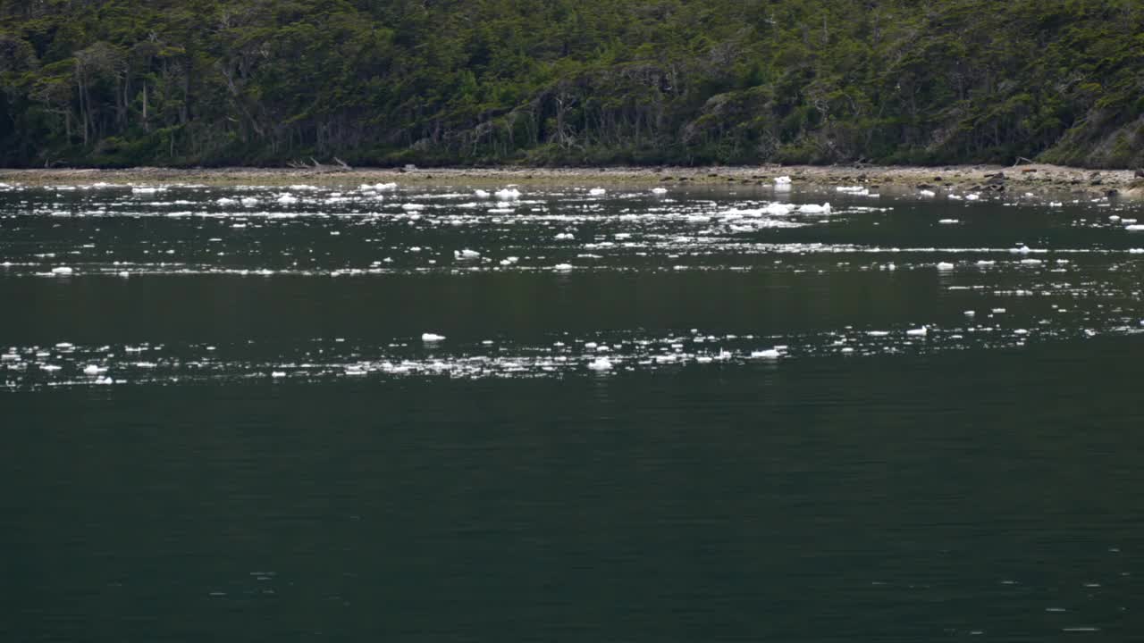 浮冰，冰川泻湖，贝格尔海峡，智利视频素材