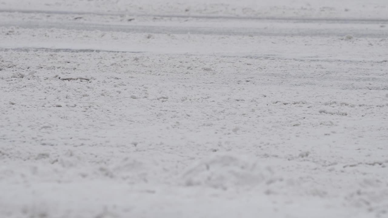 在冬日暴风雪期间，行人在红绿灯前过马路。腿特写。天气恶劣的道路交通视频素材