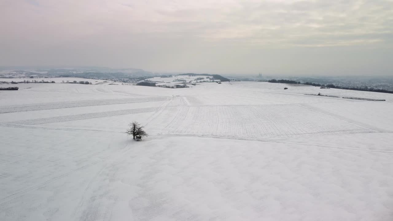 在雷根斯堡市美丽的冬季景观中，无人机围绕着小教堂和孤独的树木盘旋视频素材