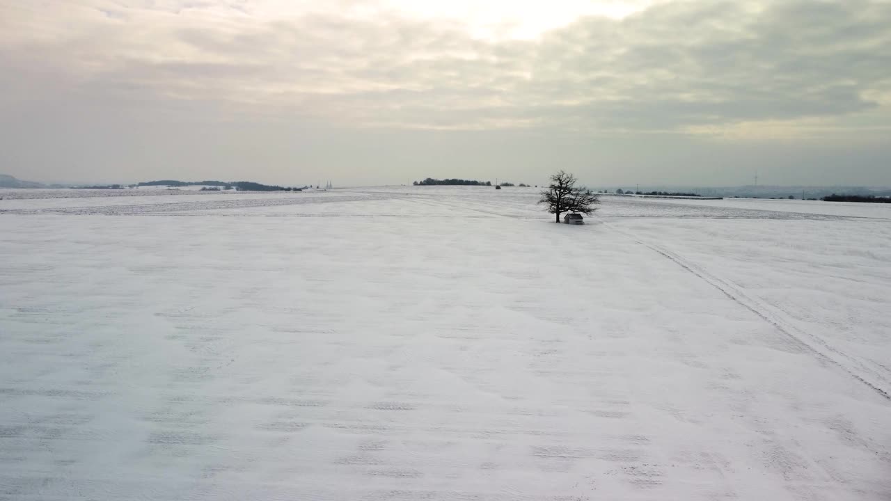 无人机飞过巴伐利亚积雪覆盖的冬季景观，孤独的树木和教堂朝向雷根斯堡视频素材