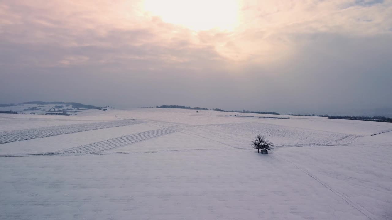 无人机飞行在巴伐利亚雪域的冬季景观与孤独的树和小教堂附近雷根斯堡在降雪期间视频素材