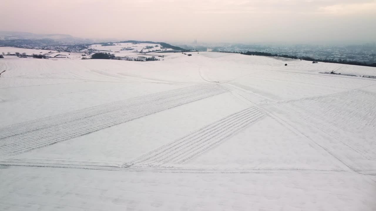 无人机飞行在巴伐利亚雪域的冬季景观与孤独的树和小教堂附近雷根斯堡在降雪期间视频下载