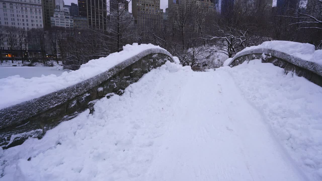 2019冠状病毒病(COVID-19)大流行期间，纽约市遭遇严重冬季暴风雪。视频素材