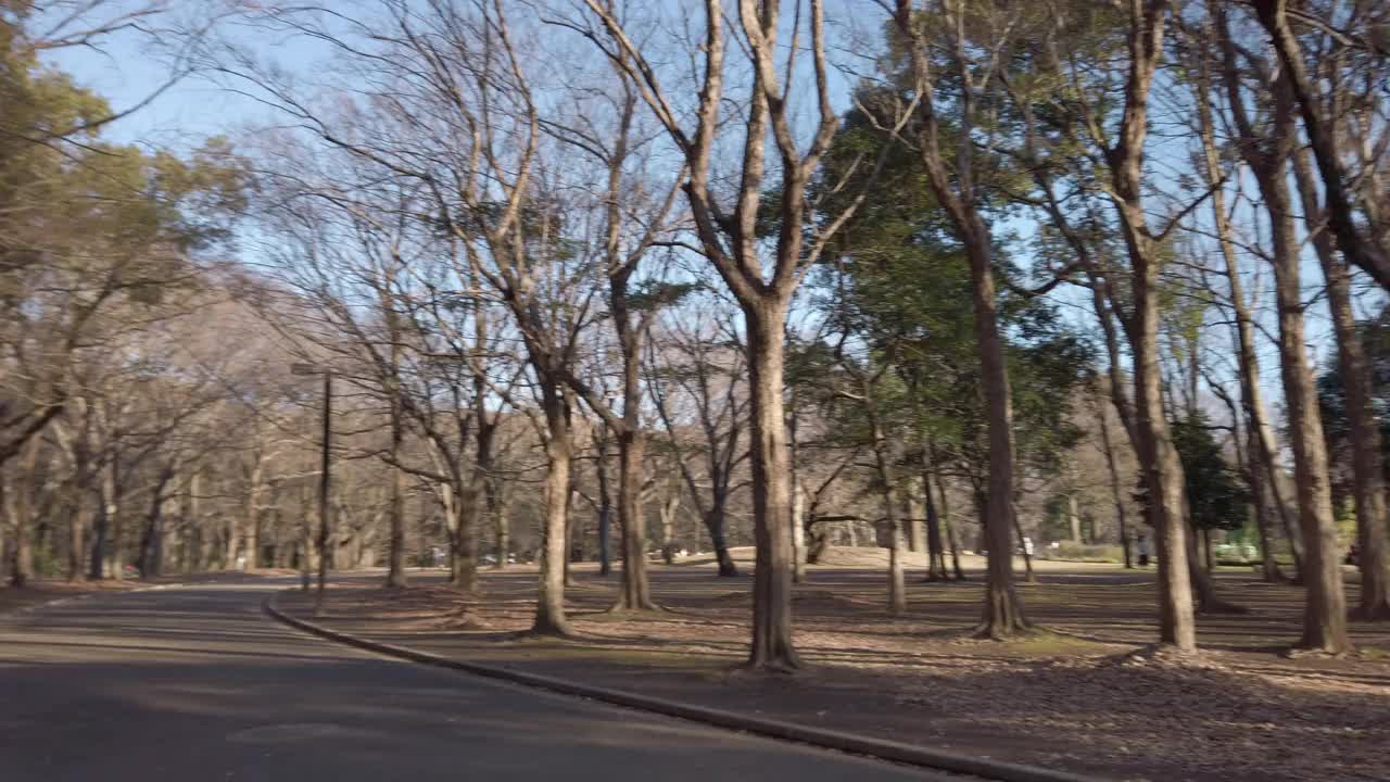 日本东京代代木公园的风景。视频素材