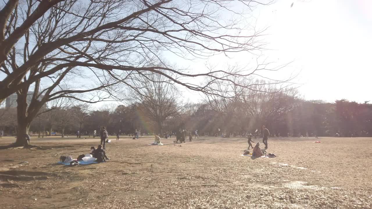 4 k平移。家庭在公园。视频素材