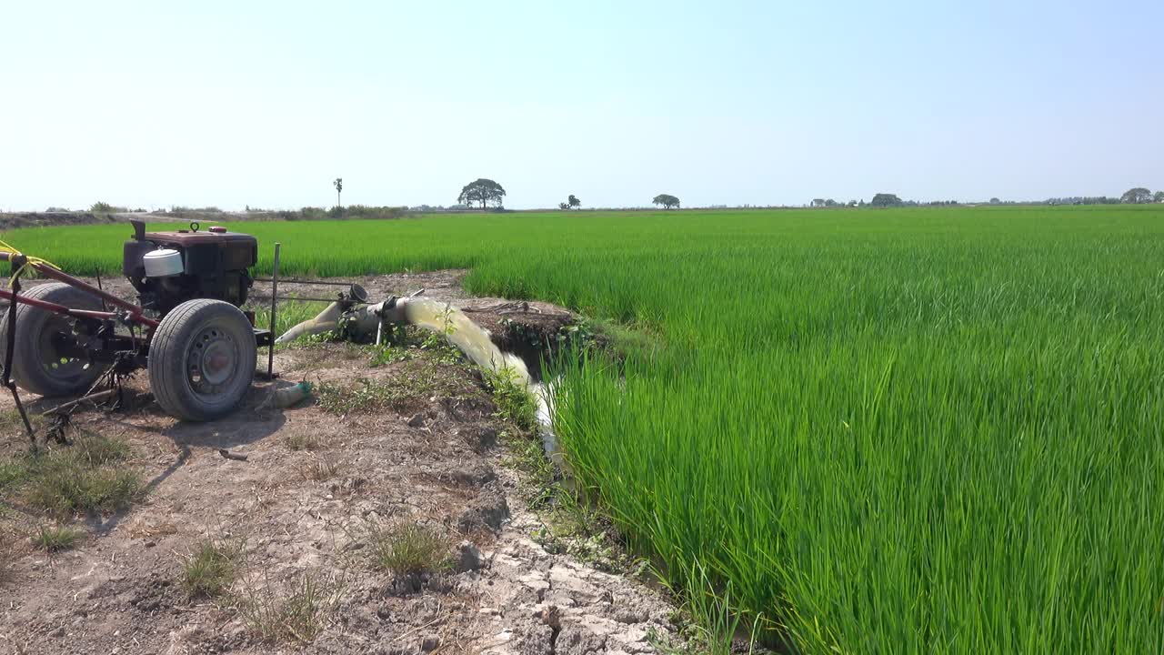 农民把水抽到地里视频素材