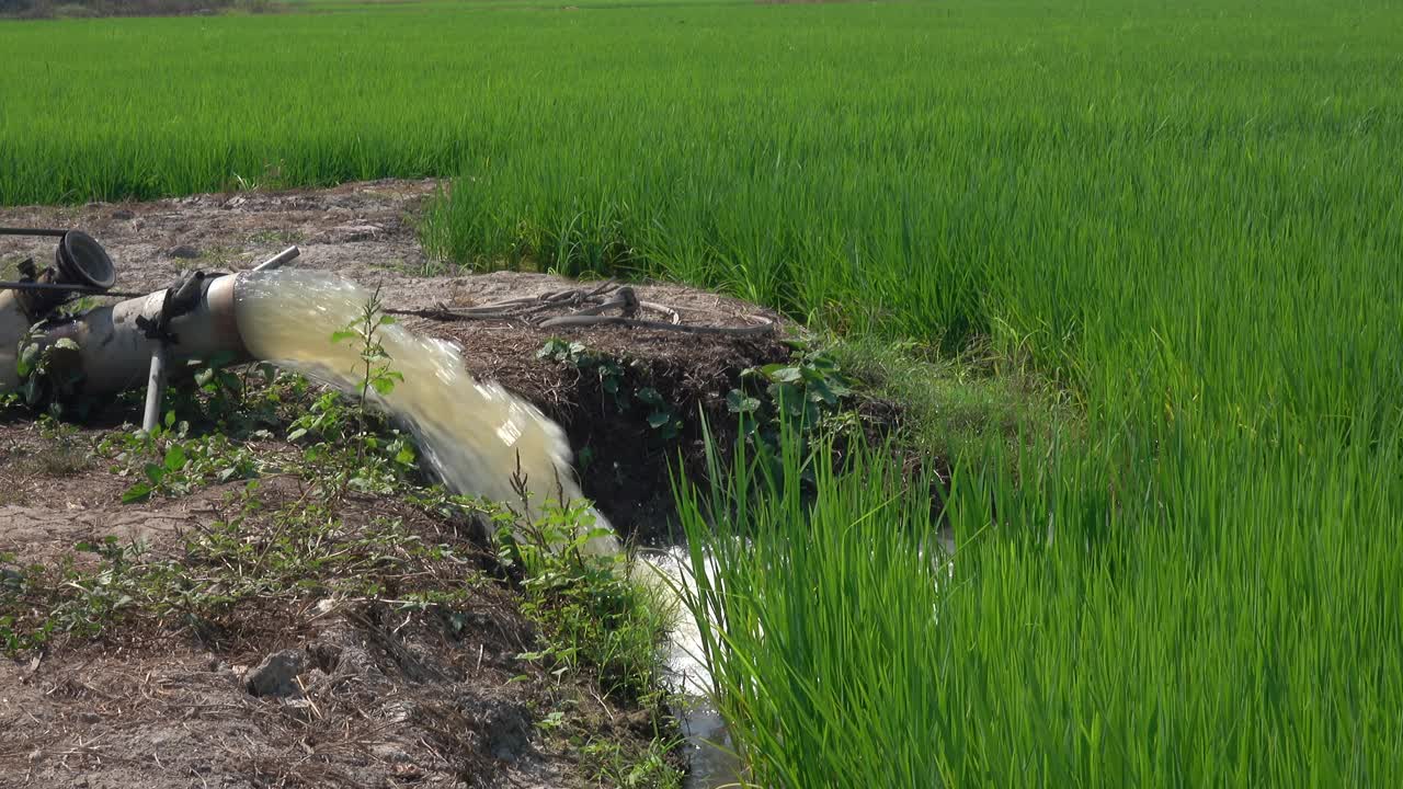 农民用水泵灌溉田地视频素材