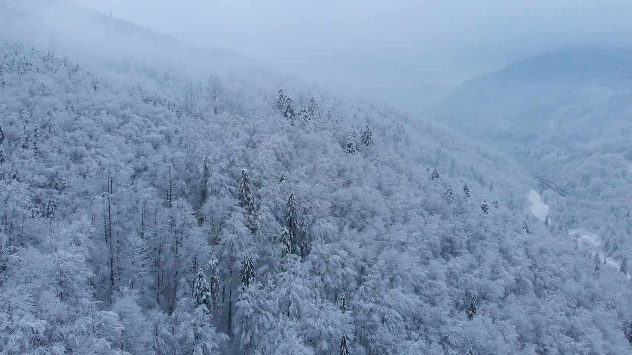 航拍:云杉和松树的冬季森林完全被雪覆盖。视频素材