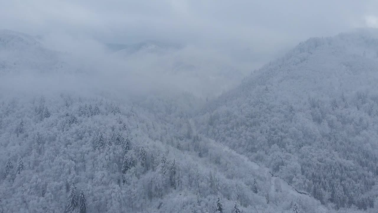 航拍:云杉和松树的冬季森林完全被雪覆盖。视频素材