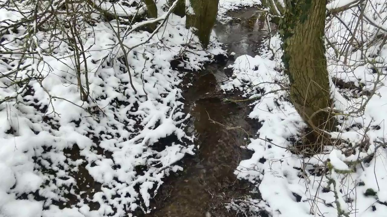 下雪天林中小溪视频素材