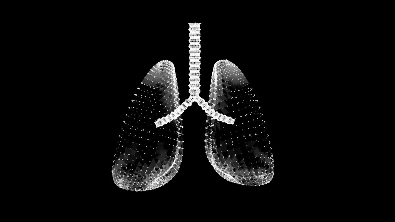 人肺有气管、支气管等内脏器官。肺医学科学技术概念。线框低多边形网格视频素材