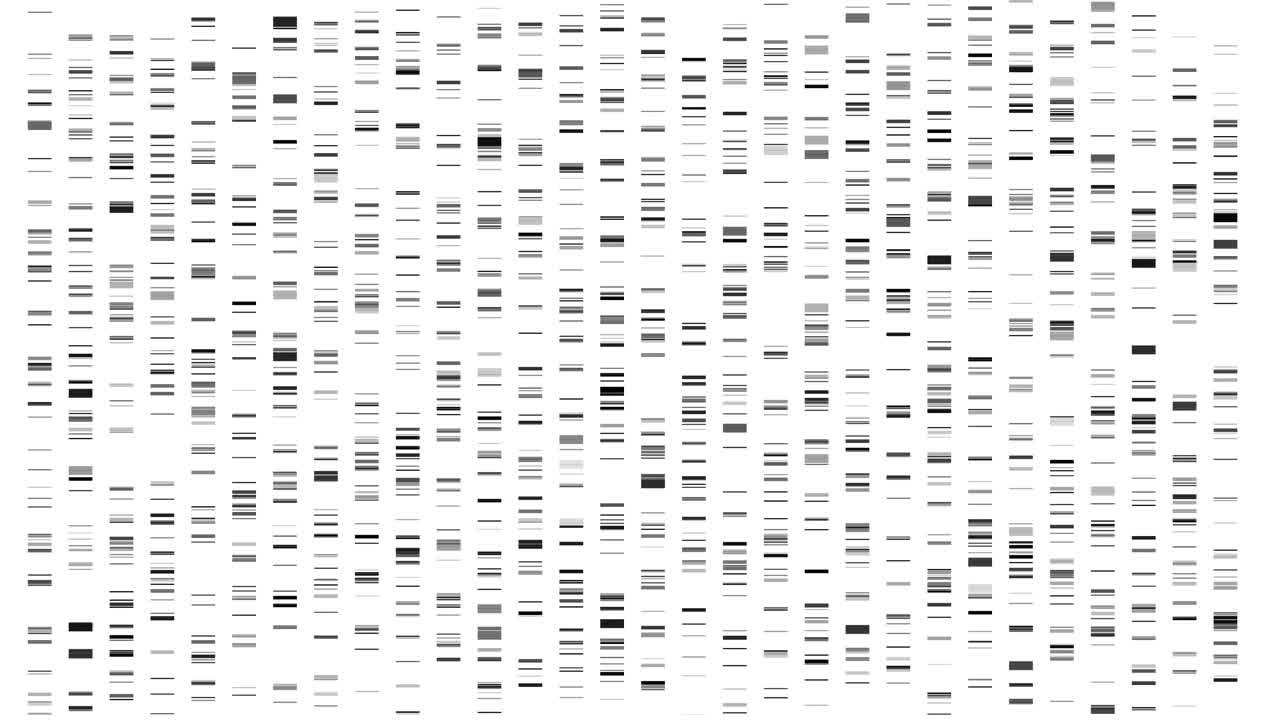 大基因组数据可视化- DNA测试，条形码，基因组图谱构建视频素材