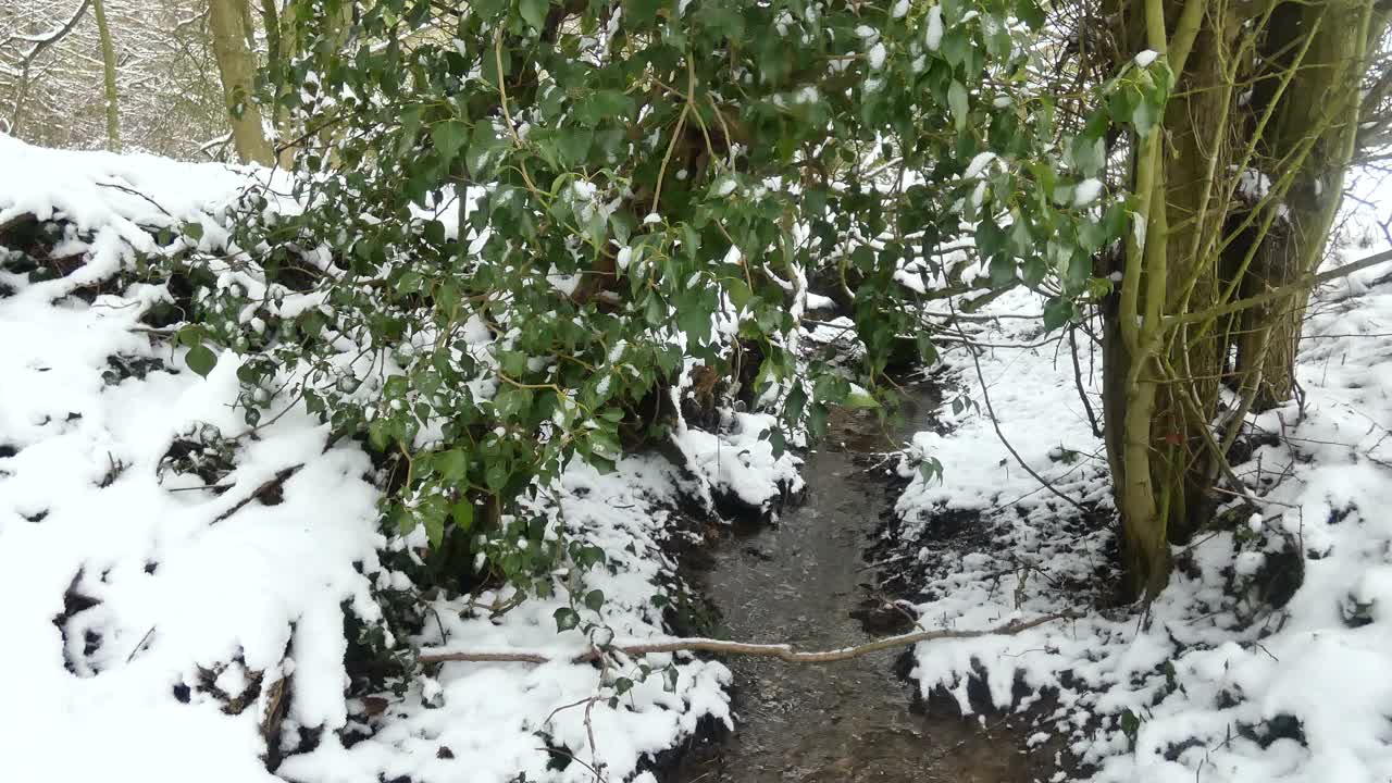 小溪在下雪的天气在树林里流动视频素材