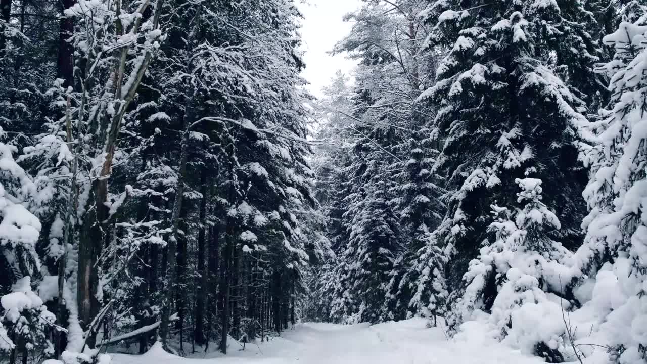 雪正在慢慢地下。视频素材