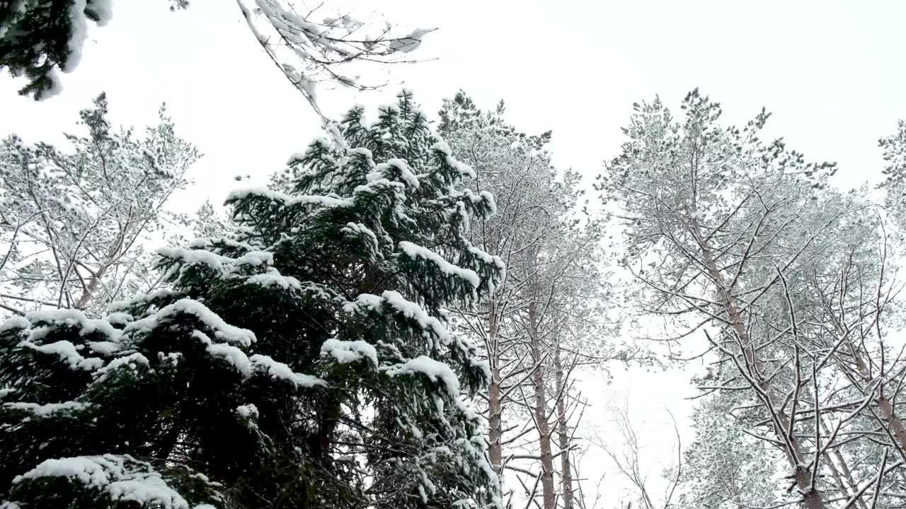 雪正在慢慢地下。视频素材