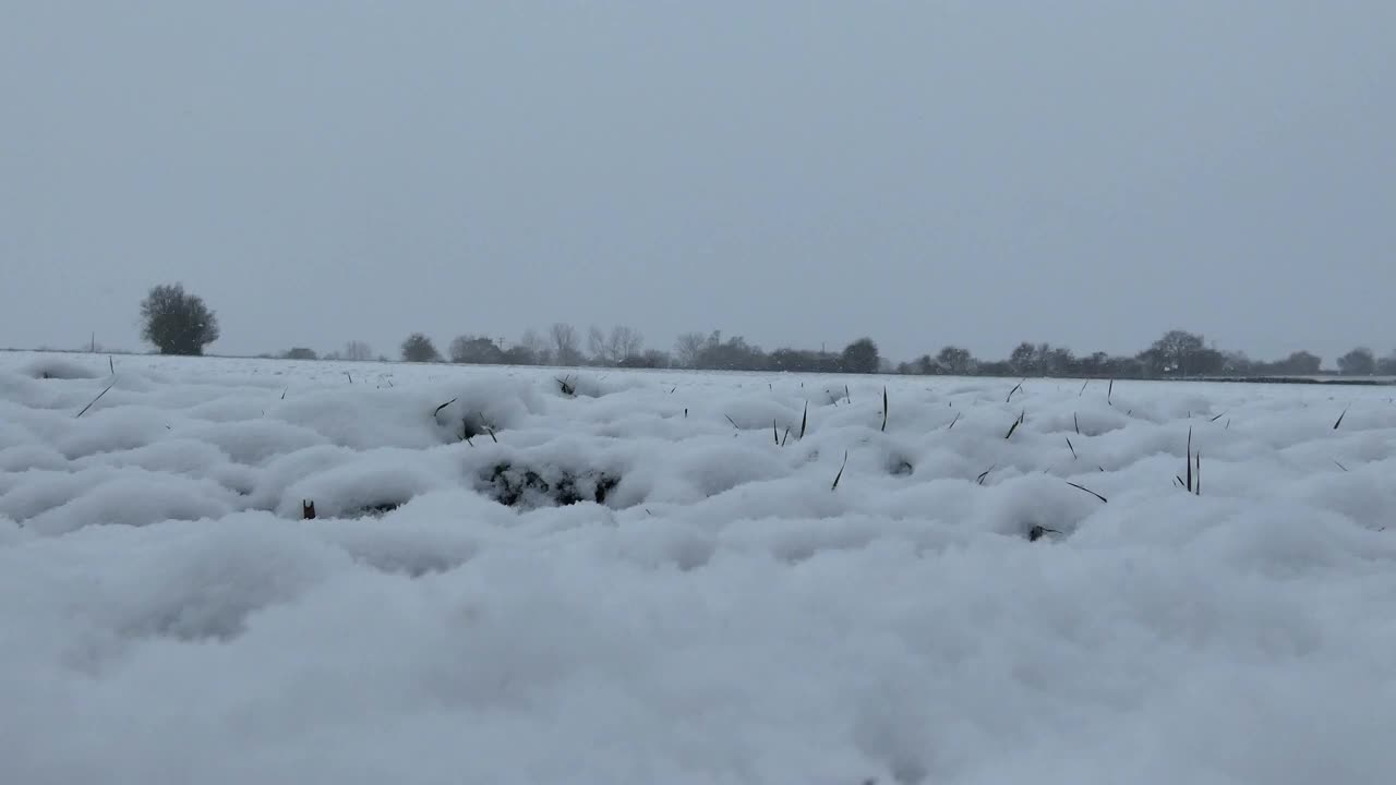 低角度视野的雪域视频素材