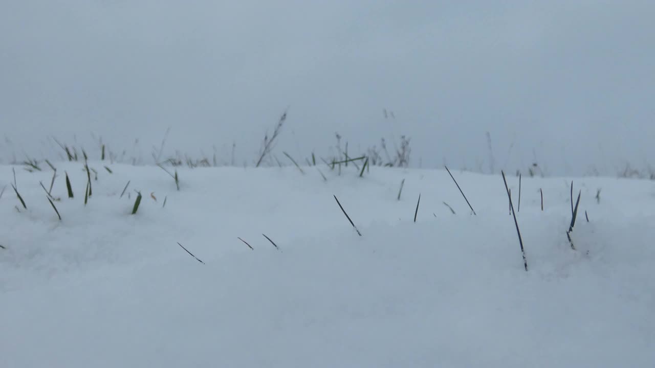 低角度雪原视频素材