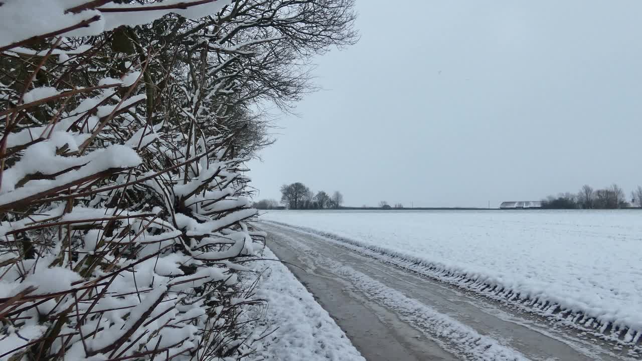 雪地里的树林和土路视频素材