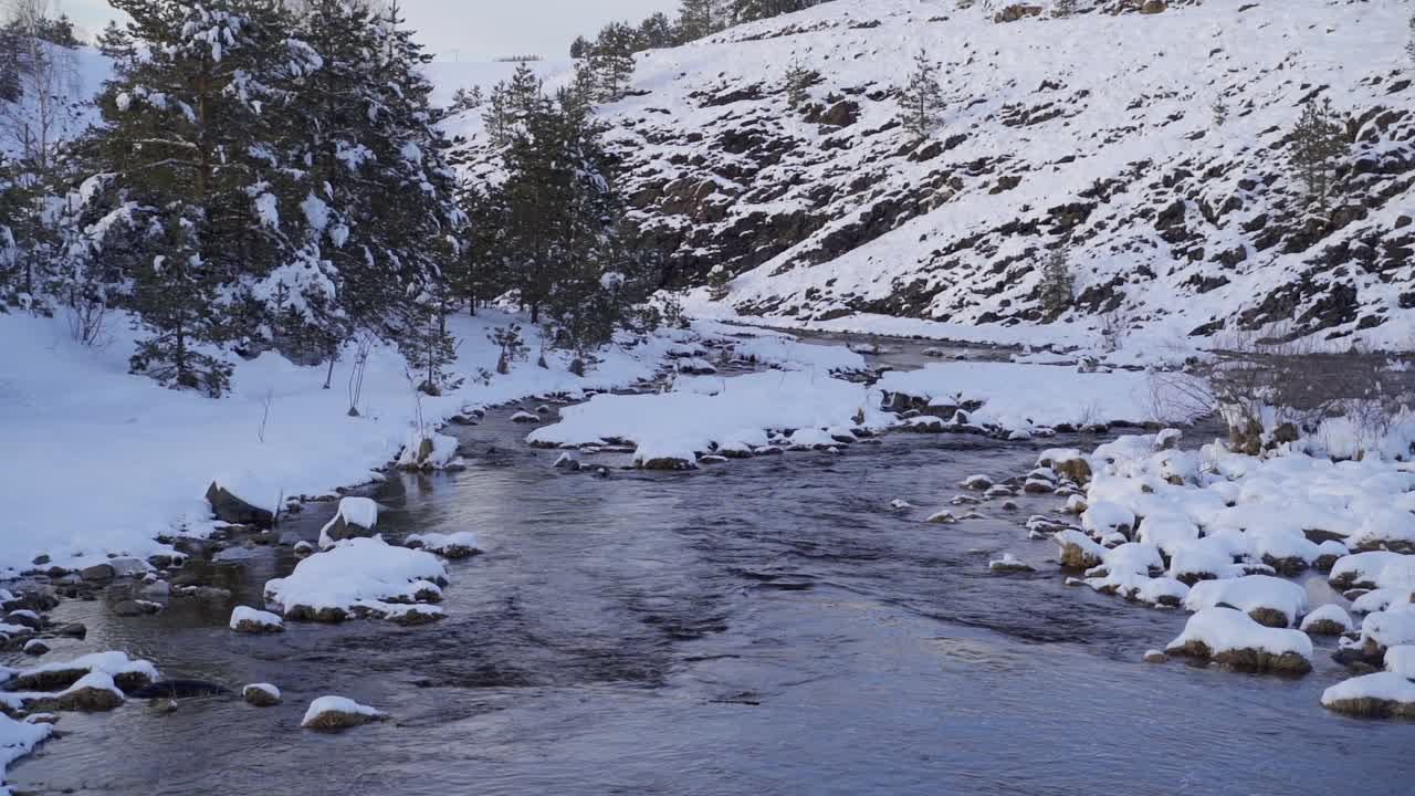 冬天雪森林河水视频素材