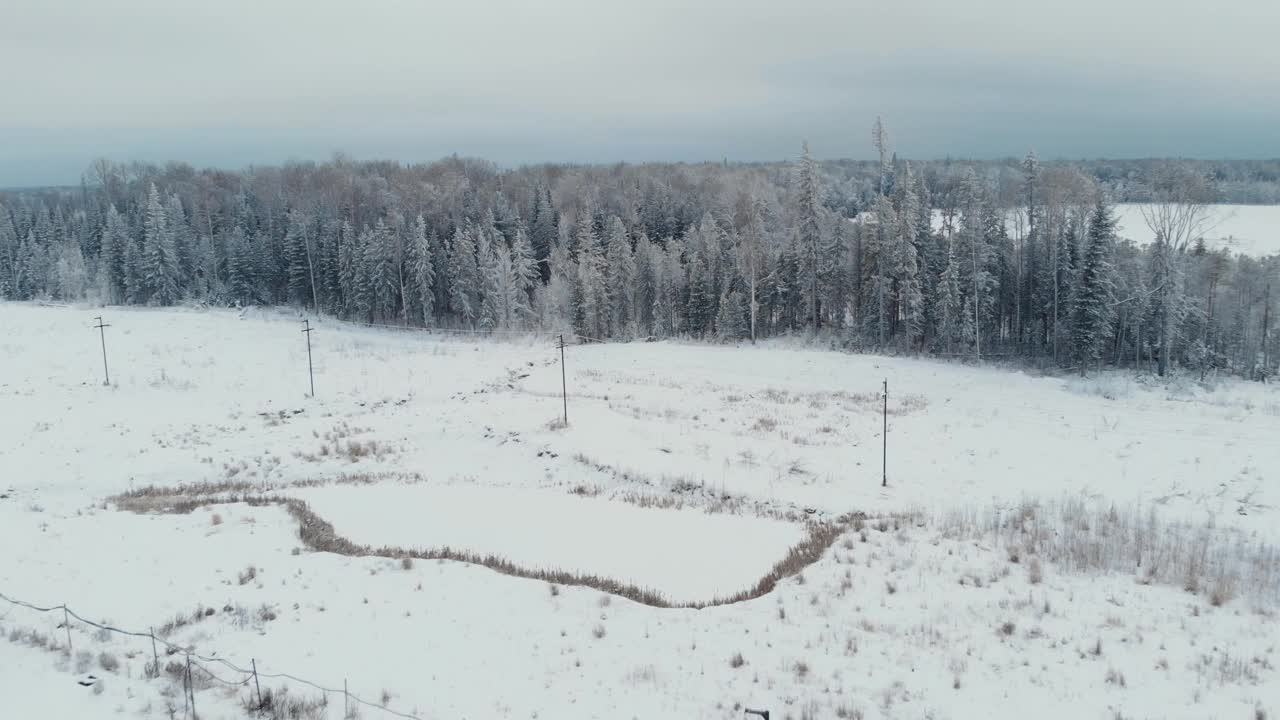 无人机飞过电线杆，飞进了覆盖着积雪的常绿森林。西伯利亚冬天视频素材