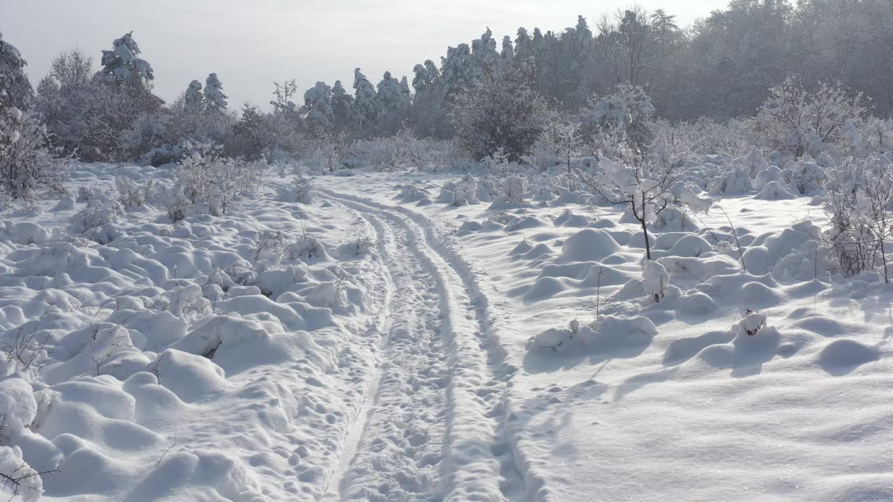 雪地里的清晨仙境4K视频视频素材