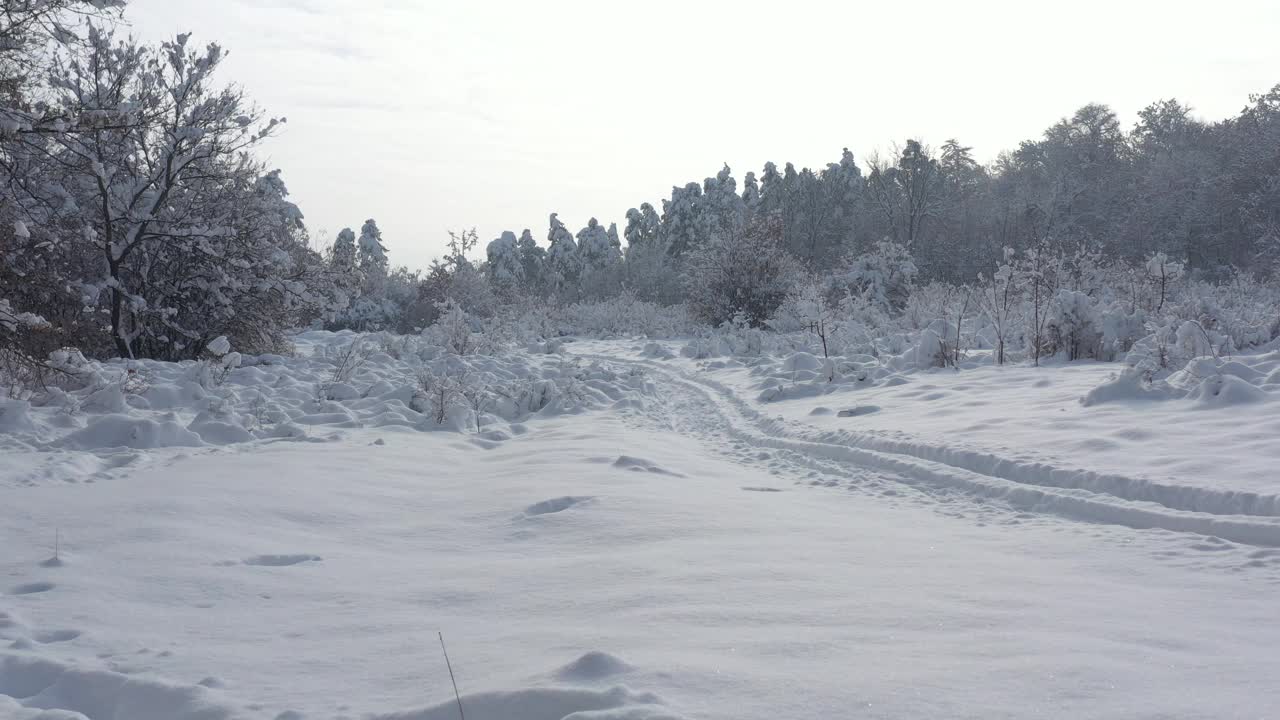 晨光和雪的自然4K无人机视频视频素材