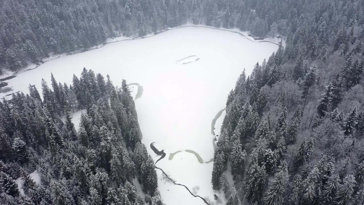 鸟瞰图冰冻森林与冰雪覆盖的湖在冬季在喀尔巴阡山脉视频素材