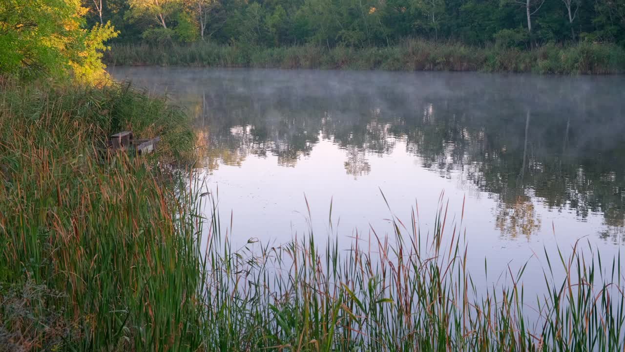 景观-雾蒙蒙的河流，时光流逝。早晨平静的河上有雾，树木倒映在水面上视频素材