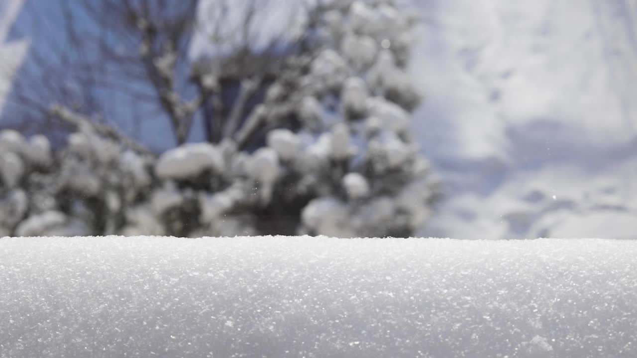 美丽的有霜的冬天早晨，窗外的景色。在一个散景背景上的前景雪视频下载