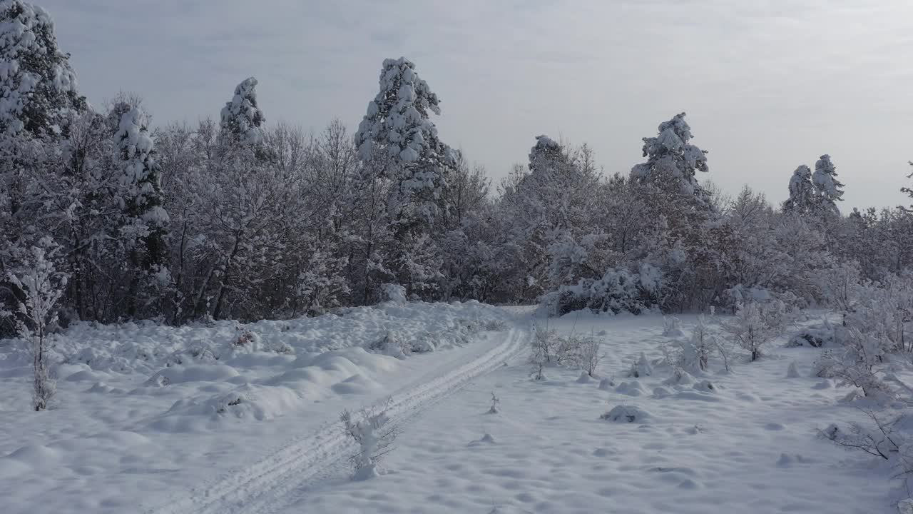 4K无人机拍摄雪林田园诗般的场景视频素材