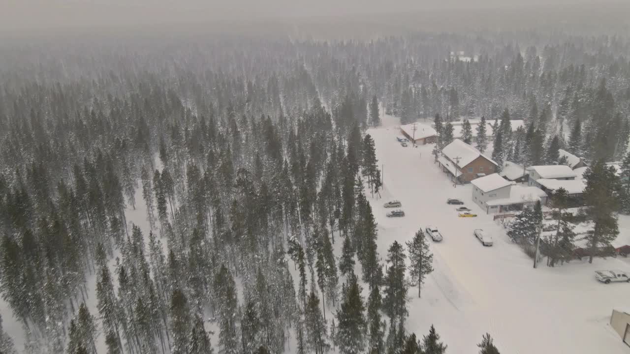 鸟瞰图神秘梦幻的冬季全景与大雪森林视频素材