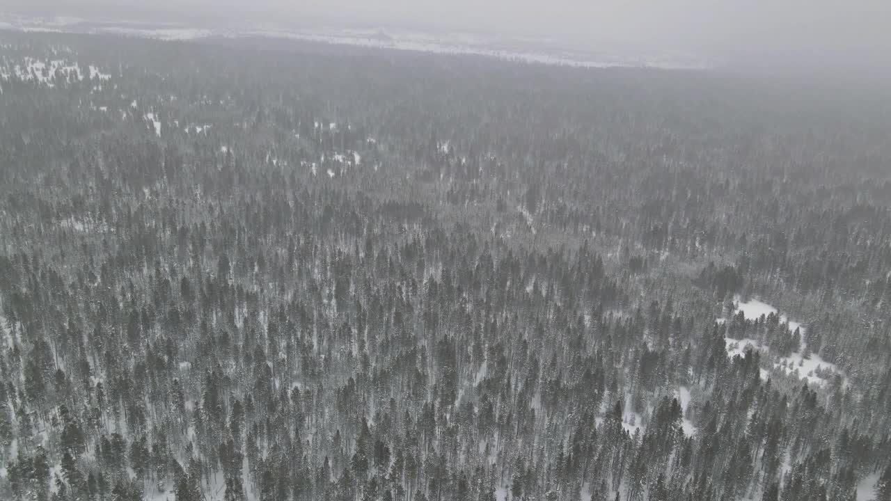 神秘梦幻的冬季全景与大雪森林，鸟瞰图顶部视频素材