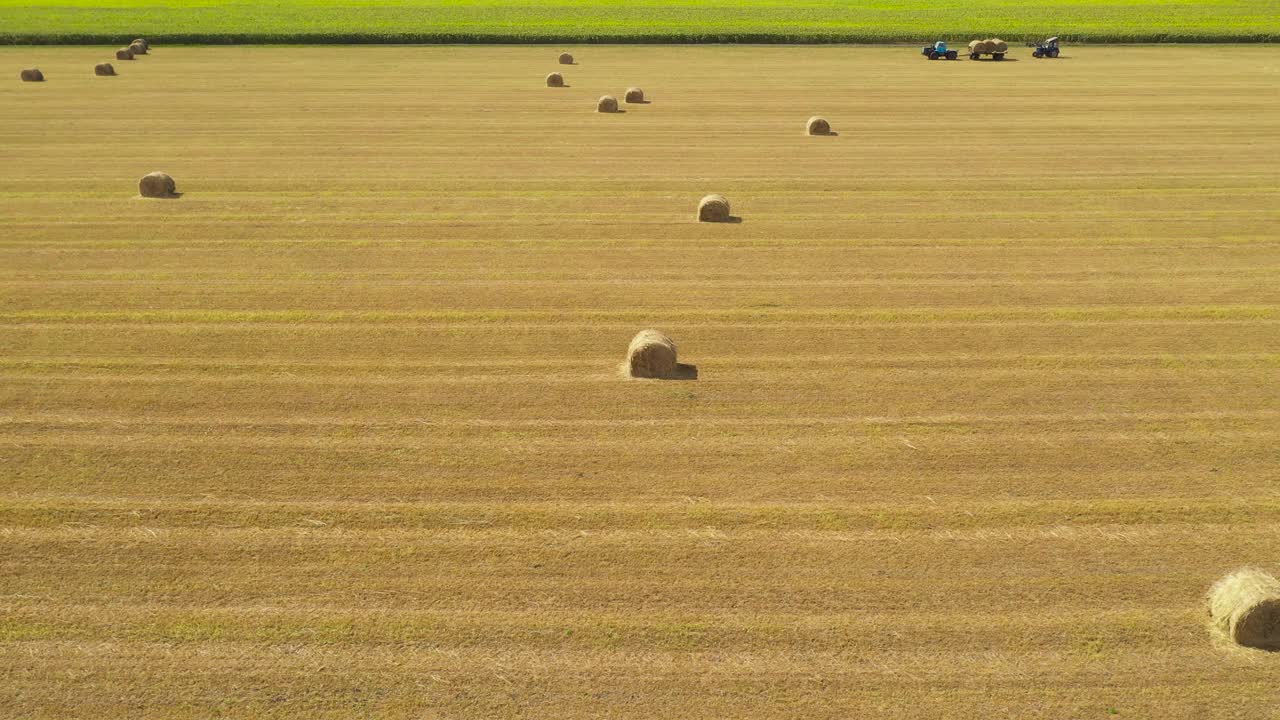 收获后用干草堆堆地。农村景观视频素材