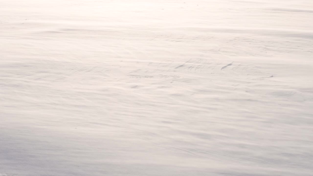 雪风雪扫过马路，美丽的冬天雪白，严冬定格寒冷。视频素材