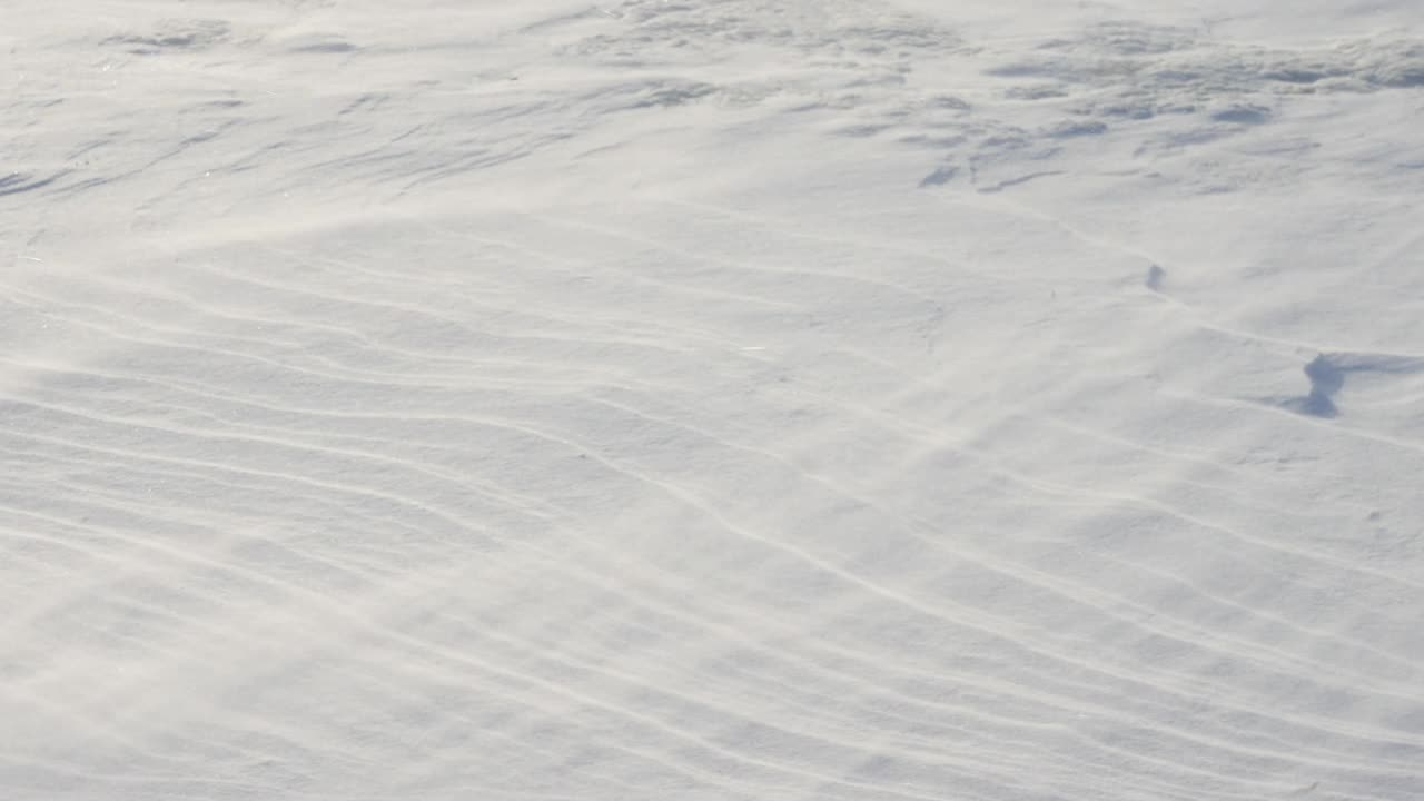 雪暴风雪，横扫道路，冬天的暴风雪，冬天的背景。视频素材