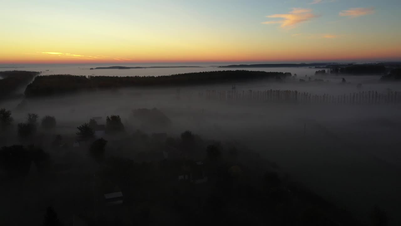 清晨的薄雾漂浮在地上的植被上视频素材