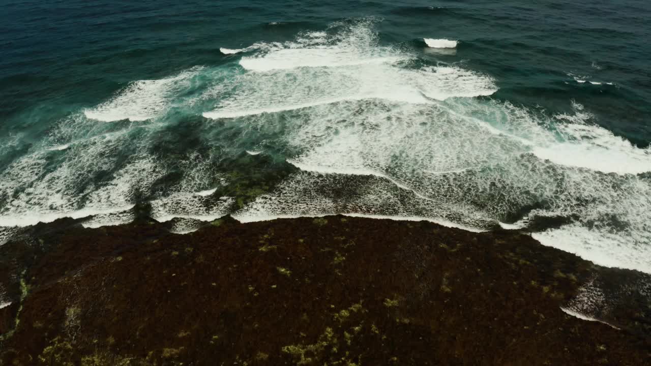 海浪冲击着珊瑚礁视频素材