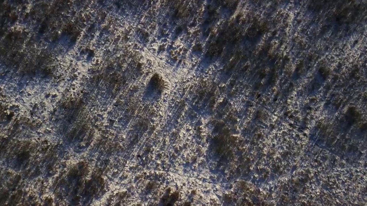 在冬天，无人机降落在有干芦苇草的田野上，向下看是雪视频素材