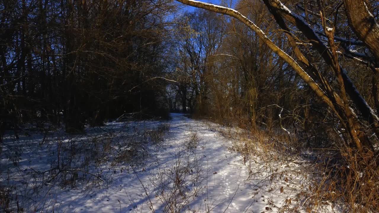 在冬天的森林里走过被雪覆盖的小路视频下载