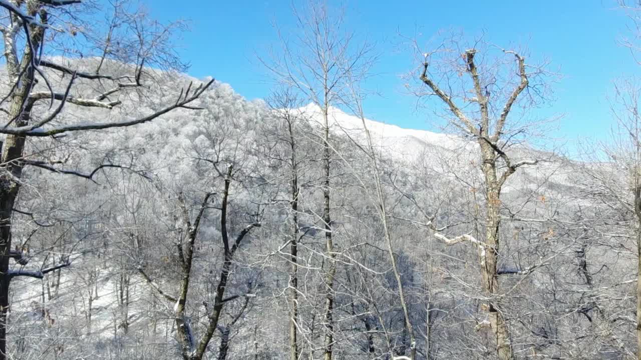 冬天的风景视频素材