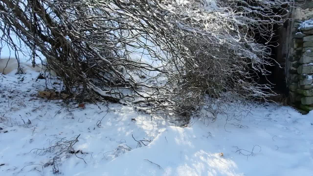 冬天的风景视频素材