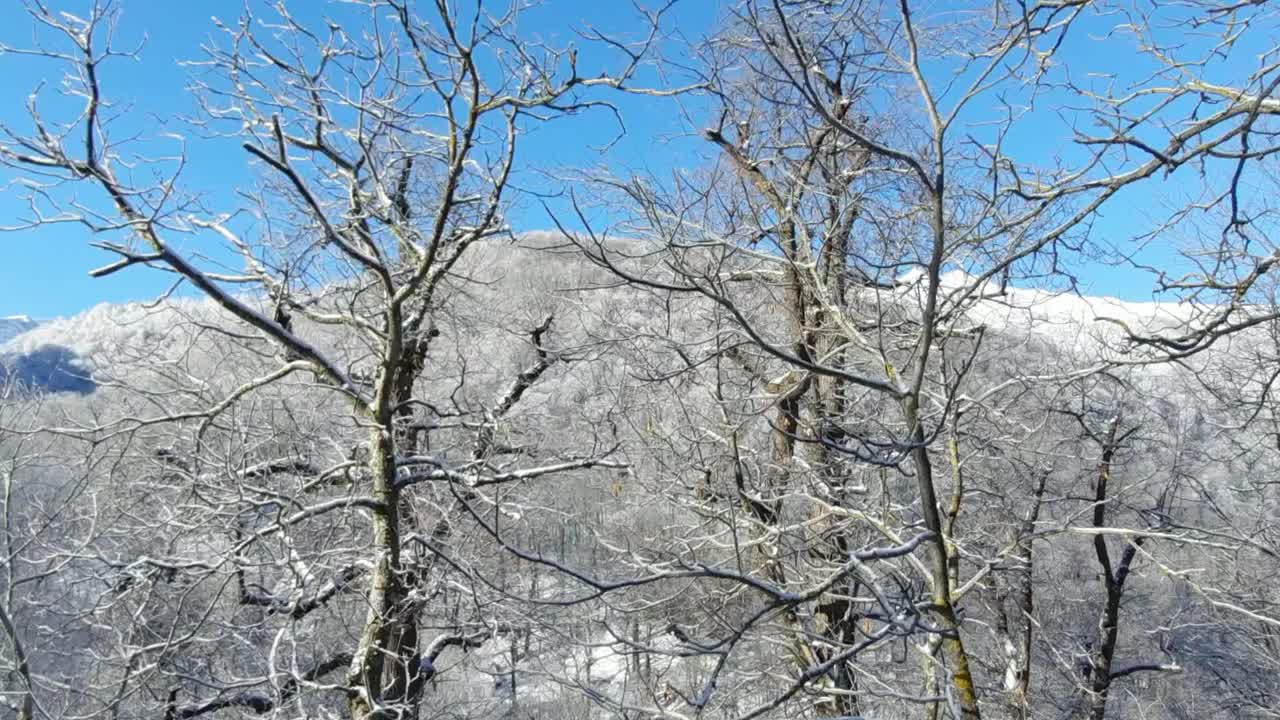 冬天的风景视频素材