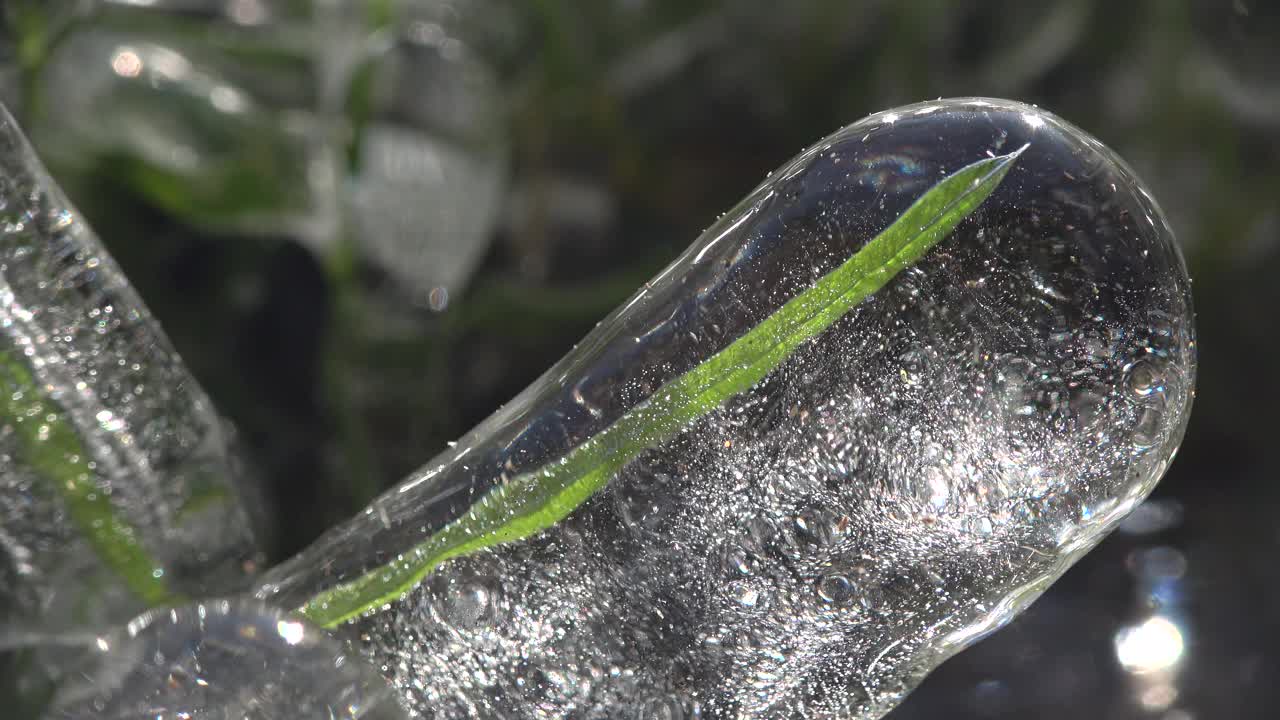 草叶上结了一层冰，草甸，冬天，冰天雪地，天气主题视频素材