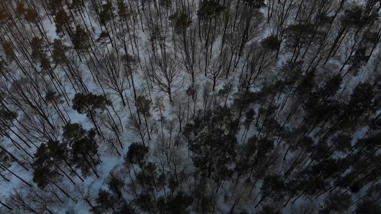 无人机拍摄的柏林降雪场景视频下载