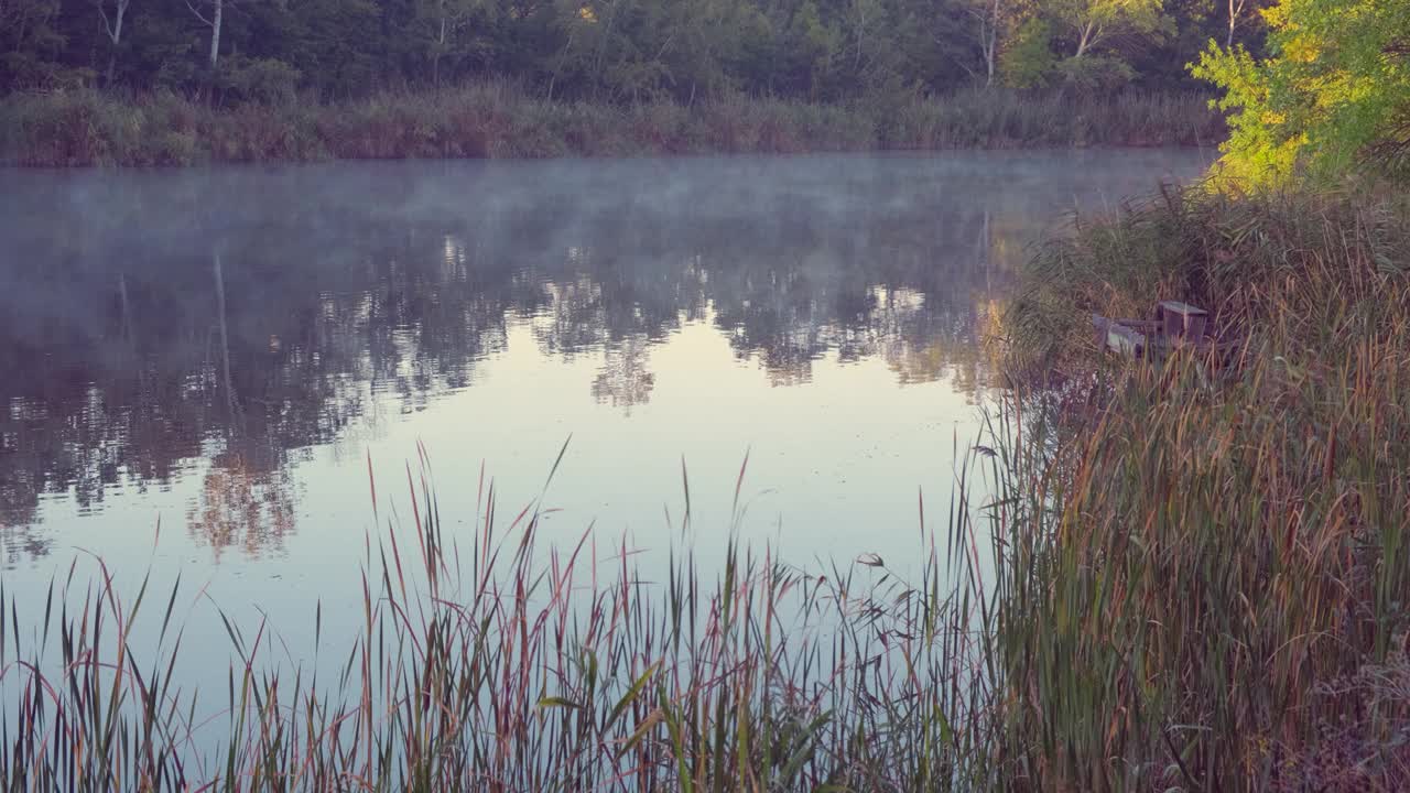 景观-雾蒙蒙的河流，时光流逝。早晨平静的河上有雾，树木倒映在水面上视频素材