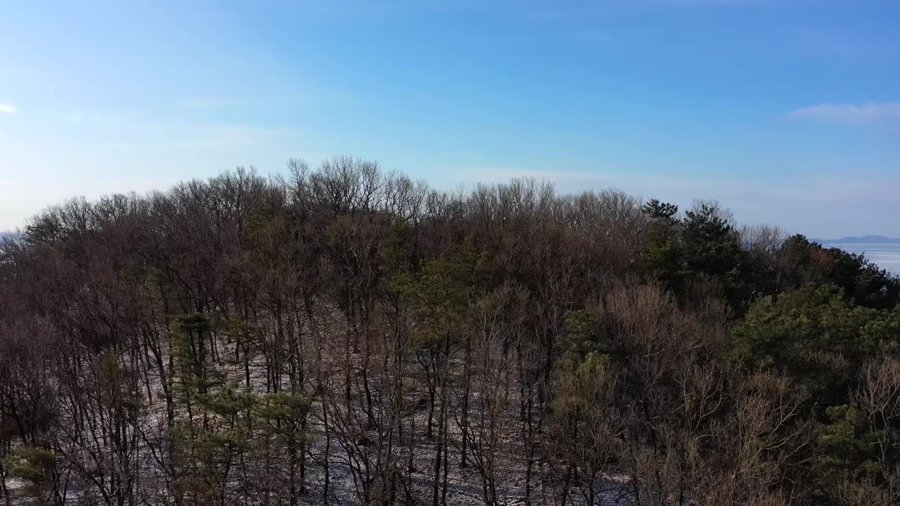 韩国仁川江华郡东堤岛泥滩的冬季景色视频素材