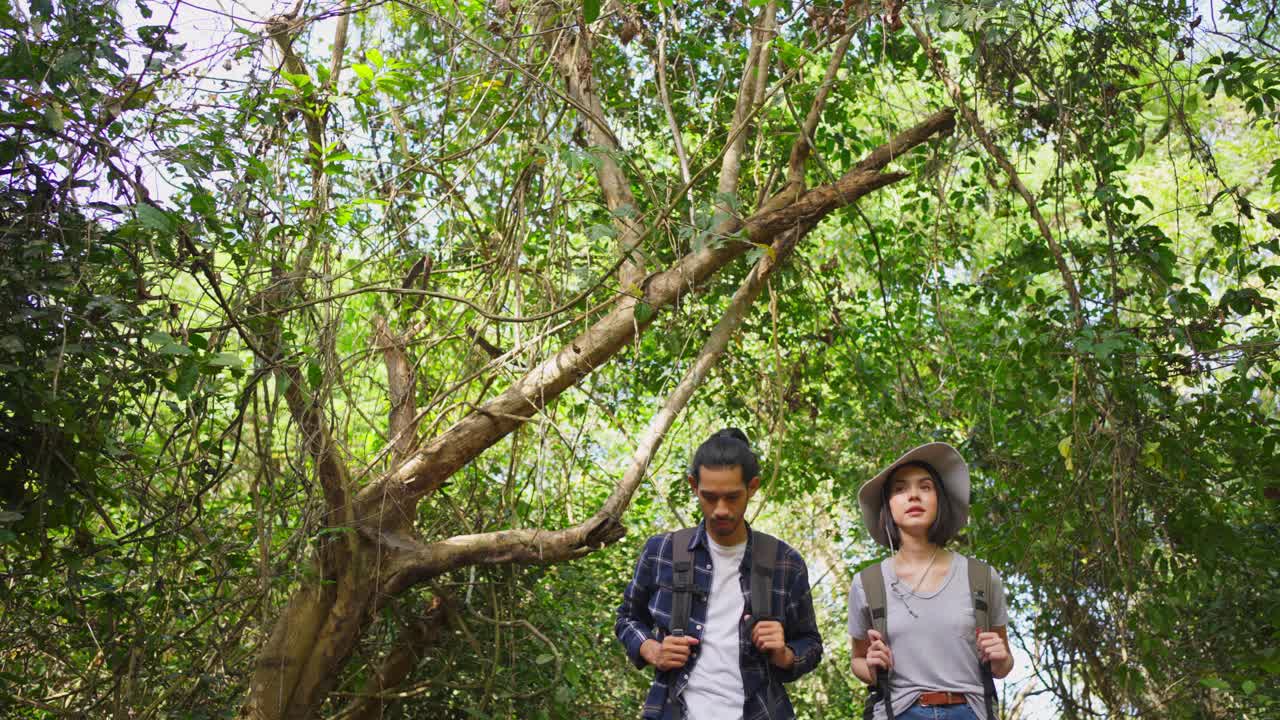 年轻的亚洲男子和白人女性朋友一起在森林旅行。他们在大自然中感到清新和放松，看着并指向风景，然后继续散步，快乐和乐趣视频素材