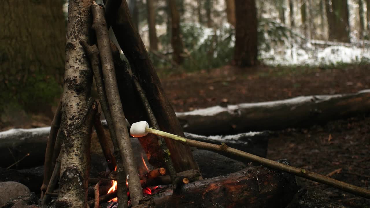 在白雪覆盖的森林里，小壁炉旁烤棉花糖视频素材