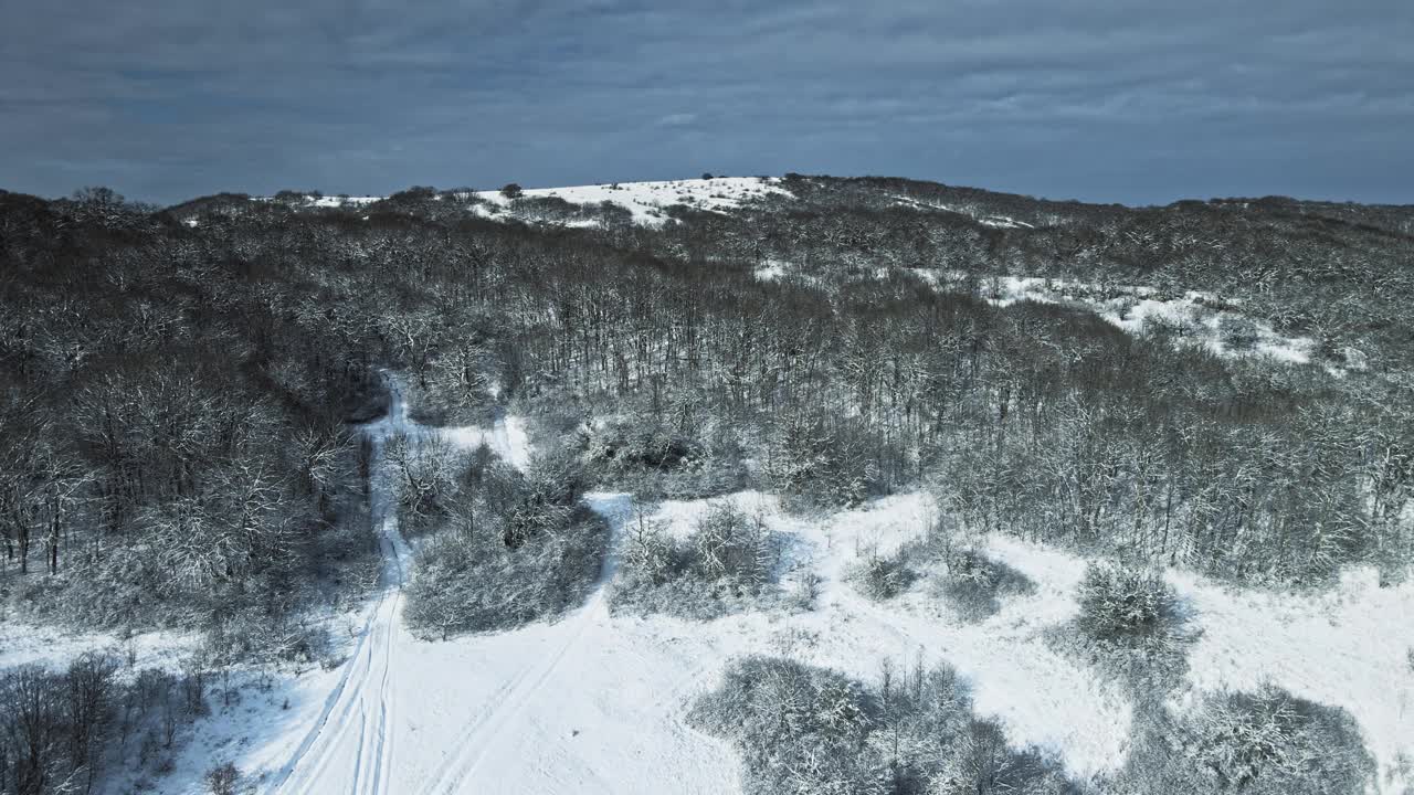 山景冬天有冰雪覆盖的冷杉树林，视频素材